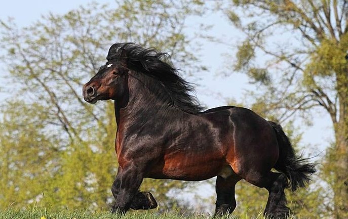 ardenes caballo grande color rojo