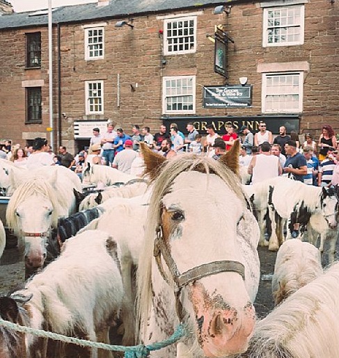 ferias de caballos